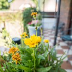 Ferienwohnung Bad Bramstedt Doppelzimmer Balkon
